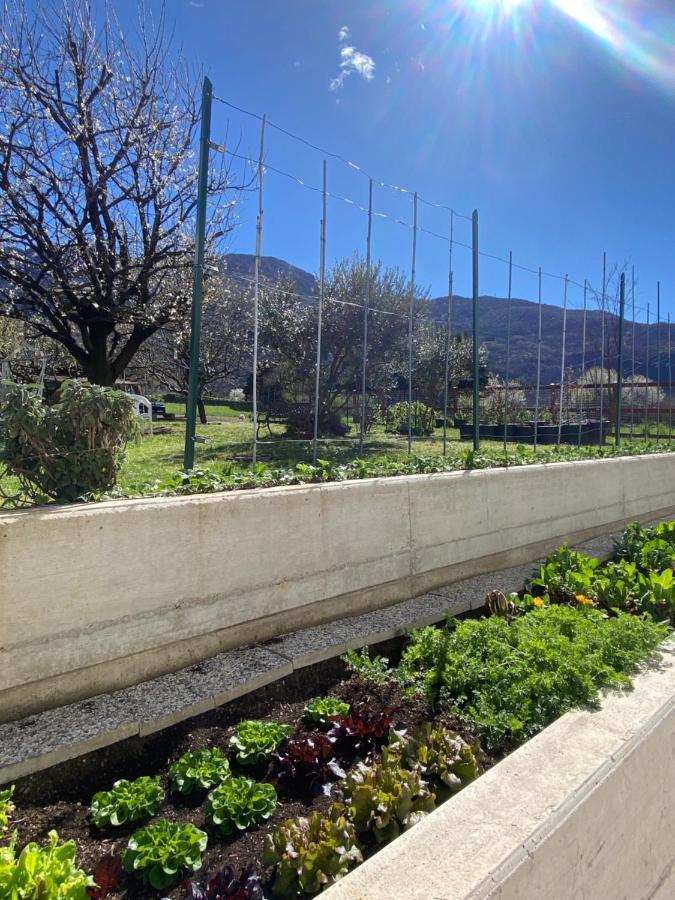 Il Giardino Dei Ciliegi Leilighet Colico Eksteriør bilde